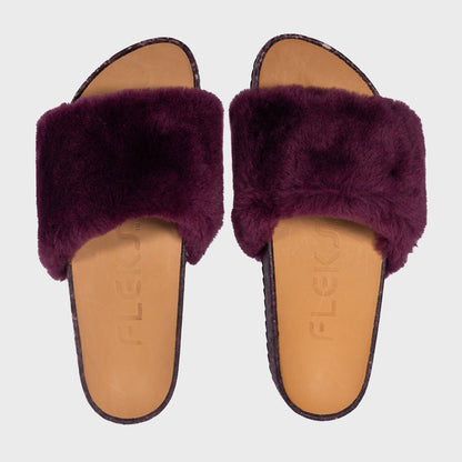 San Ysidro Slide - Fig